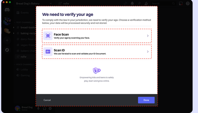 Экран проверки возраста Discord