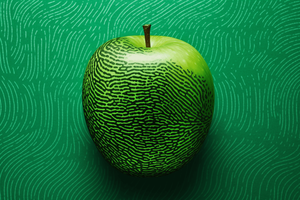 Apple x fingerprinting: nuevas reglas exigen que desarrolladores justifiquen el acceso a los datos del dispositivo