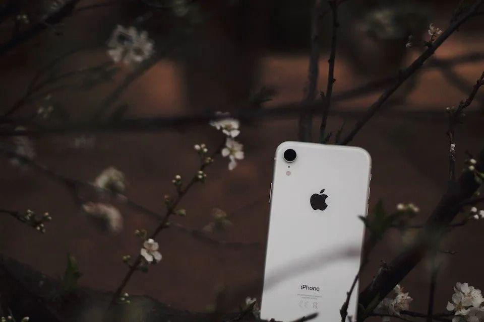 AdGuard v4.4.6 für iOS: +100 zur Werbeblockierung