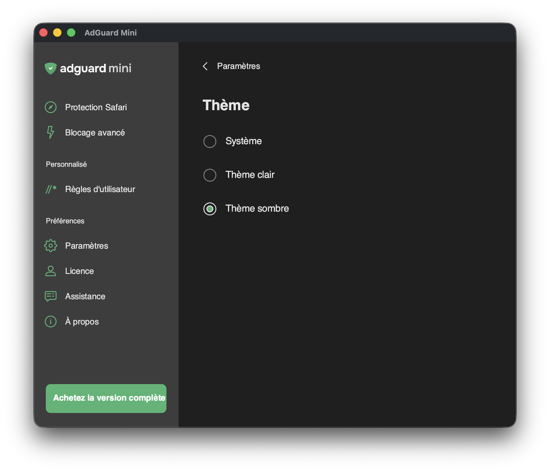 S&eacute;lection du th&egrave;me AdGuard Mini